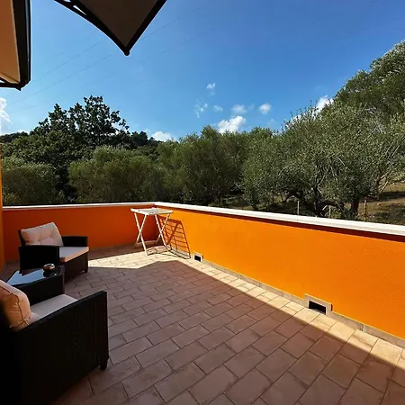 Oliblu Vakantiehuis